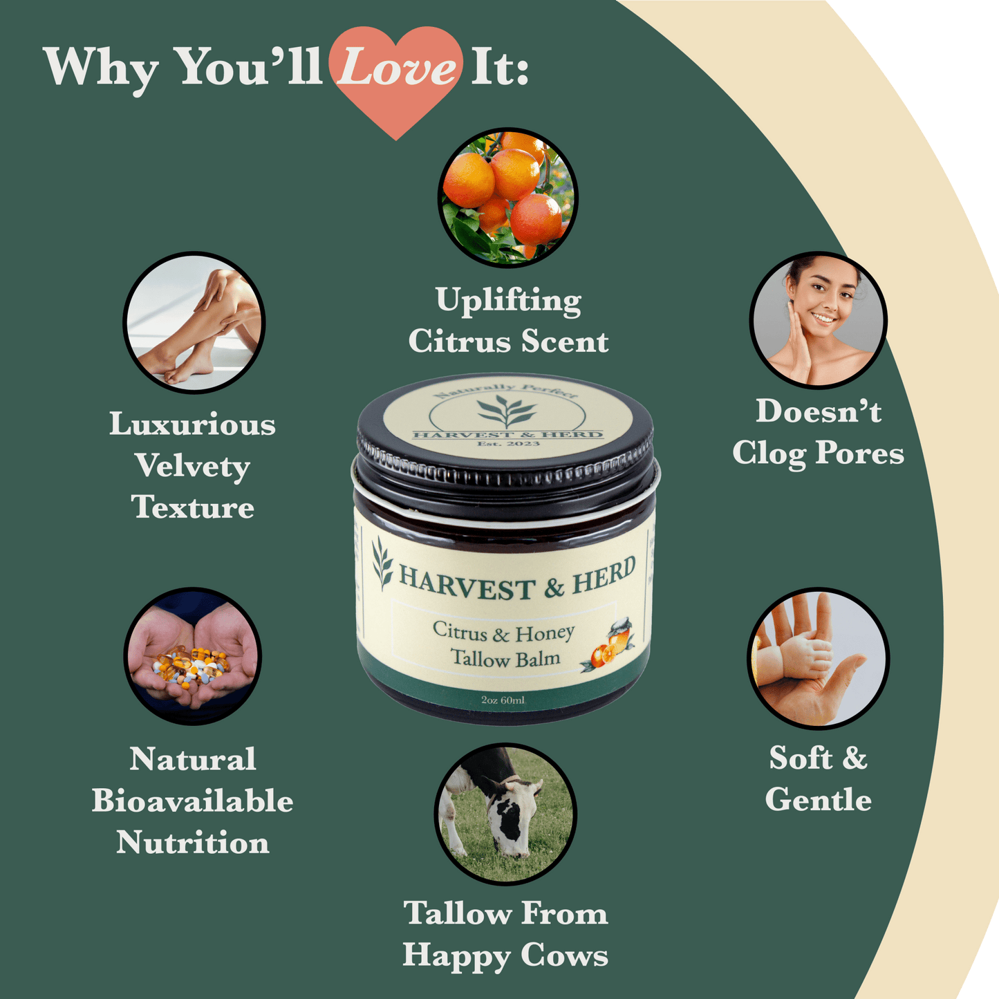 Citrus & Honey Tallow Balm - Harvest & Herd Co.