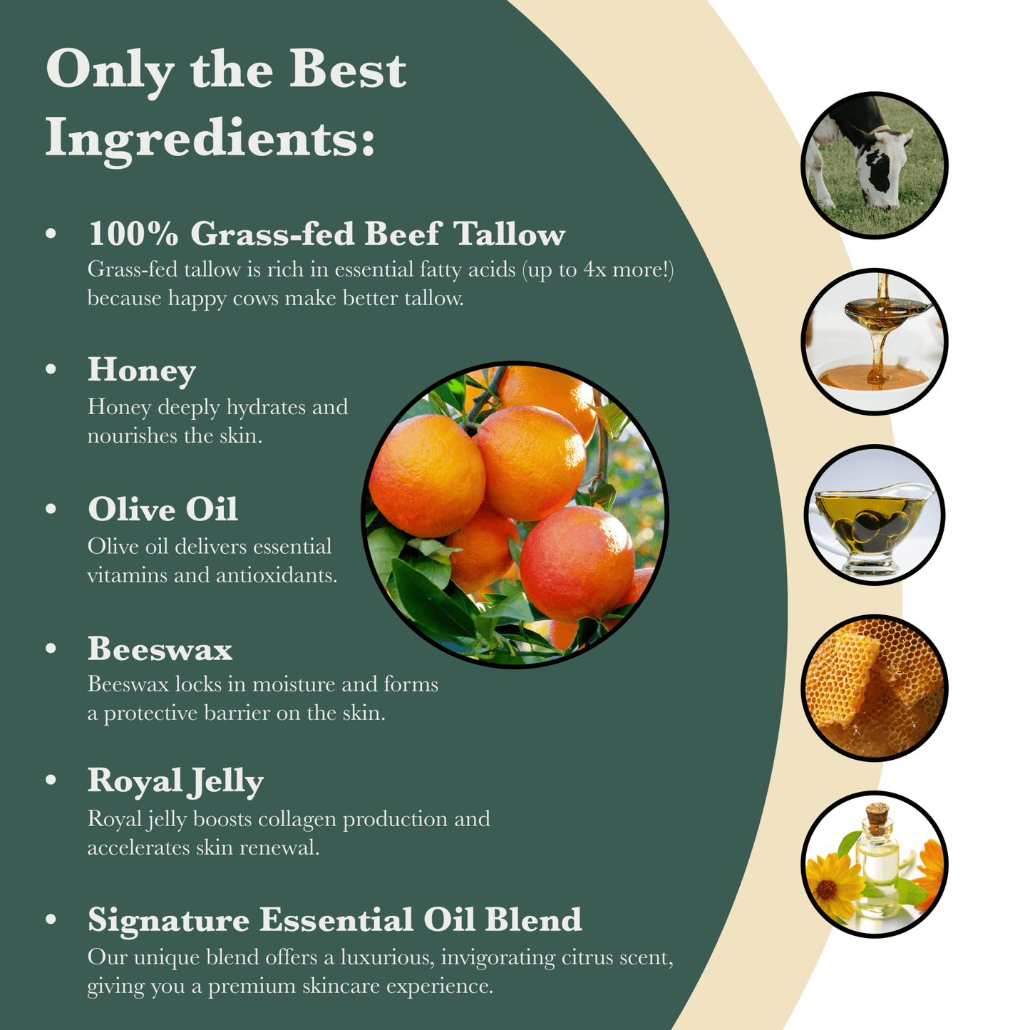 Citrus & Honey Tallow Balm - Harvest & Herd Co.